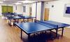 Gallant Knight Academy 19 Indoor Table Tennis Table In Club
