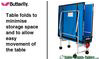 Butterfly Home Rollaway Outdoor Table Tennis Table