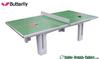 Butterfly Park Polymer Concrete Table Tennis Table