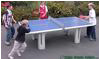 Butterfly Park Polymer Concrete Table Tennis Table