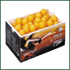 Cornilleau Pro Table Tennis Balls