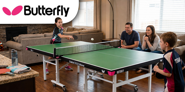 Butterfly Indoor table tennis table and brand logo