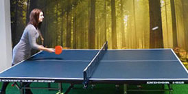 Tables tennis tables for the office or workplace