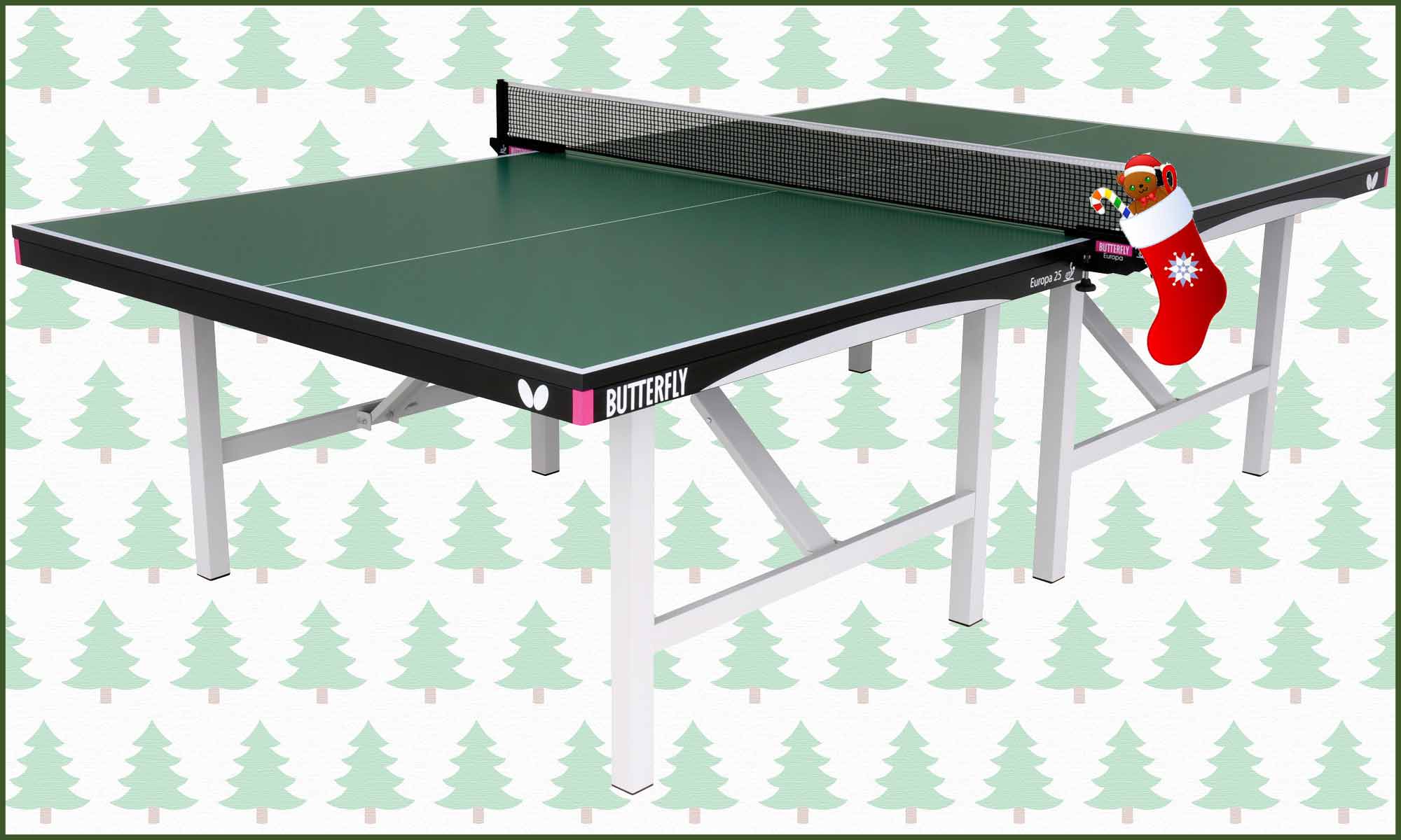 Butterfly Europa Indoor Table Tennis Table