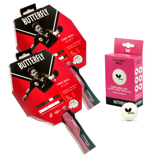 Butterfly National League 22 Indoor Table Tennis Table