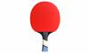 10 x Cornilleau Perform 500 Table Tennis Bat