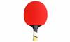 10 x Cornilleau Perform 600 Table Tennis Bats