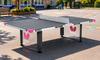Butterfly Park Outdoor Table Tennis Table