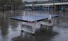 Butterfly Playground Outdoor Table Tennis Table