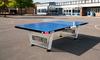 Butterfly Playground Outdoor Table Tennis Table