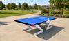 Butterfly Ultimate Outdoor Table Tennis Table