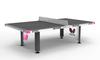 Butterfly Park Outdoor Table Tennis Table